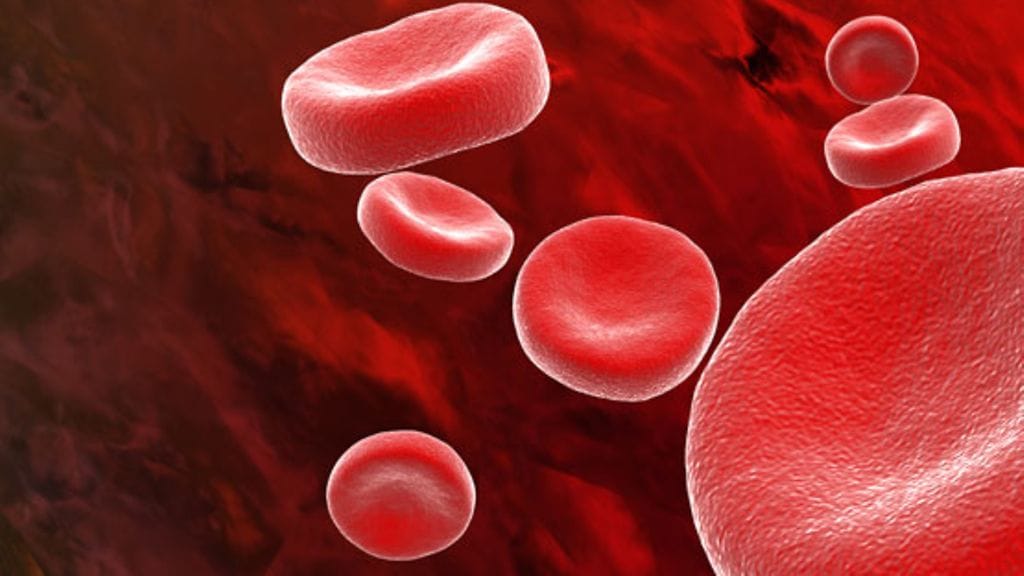 Jos normaali solukuolema estyy, solu jatkaa jakautumista. Sen myötä syntyy kasvain. Kuvituskuva.