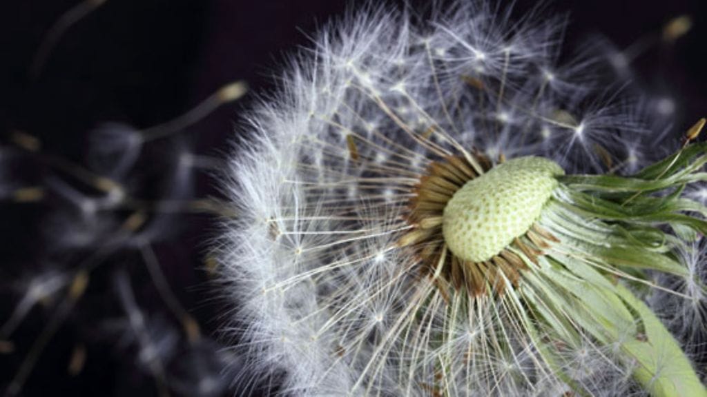 Pidä mieli avoinna myös sille, että unelmat voivat muuttua.