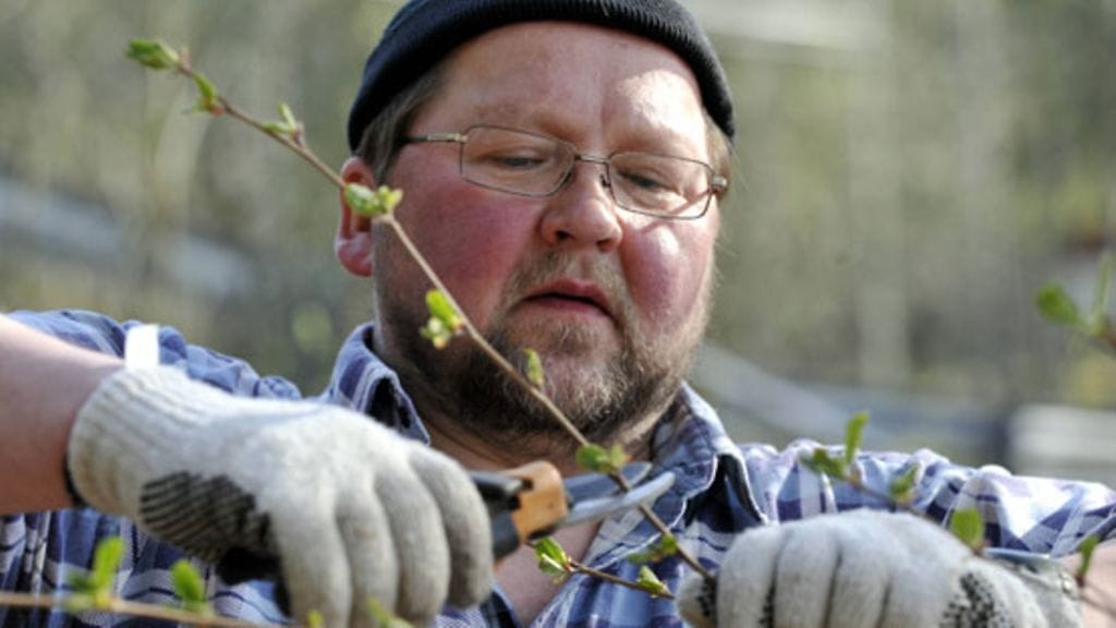 Mitro Repo (Kuva: Jussi Nukari/Lehtikuva)