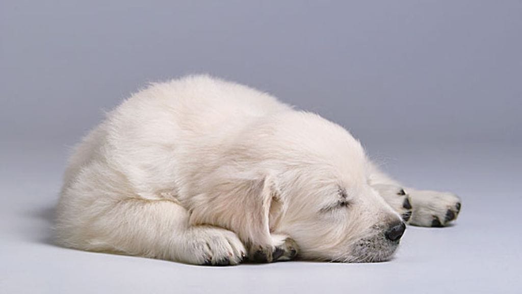 Herääminen voi olla vaikeaa, kun arki alkaa.