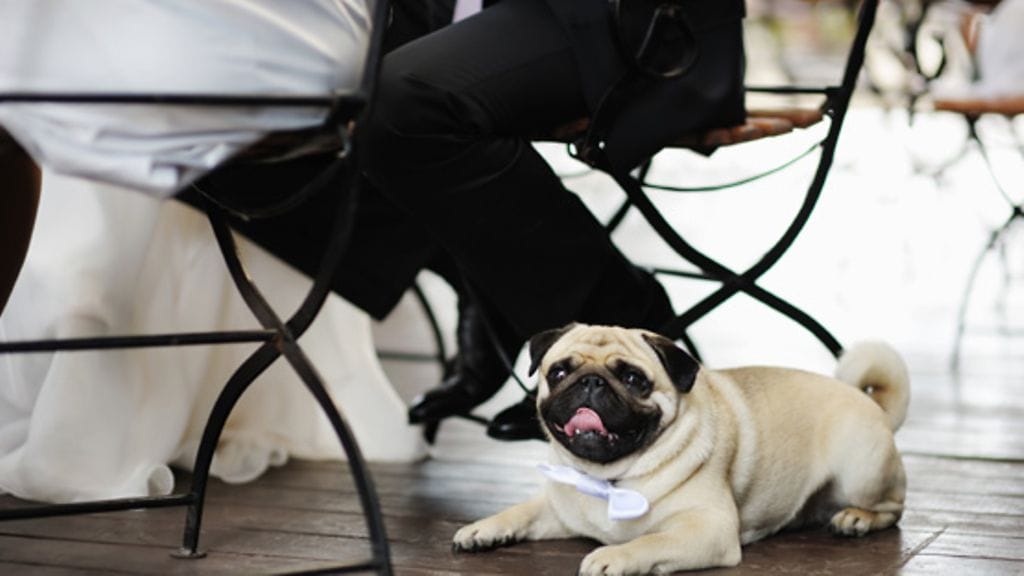 Onkos tämä nyt ihan tarpeen?