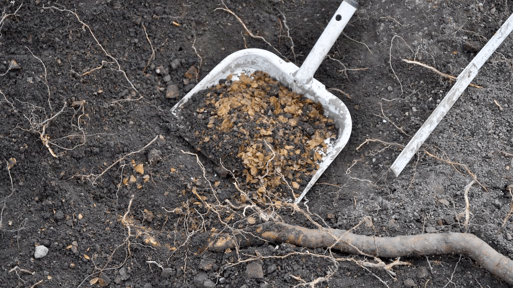 Kuvituskuva arkeologiselta kaivaukselta. Kuva ei liity Pohjois-Amerikassa tehtyyn löytöön.