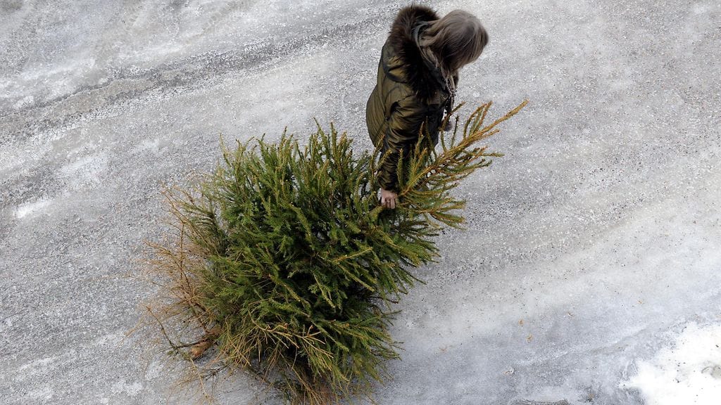 Joulukuusi hävitetään yleensä loppiaisen tienoilla.