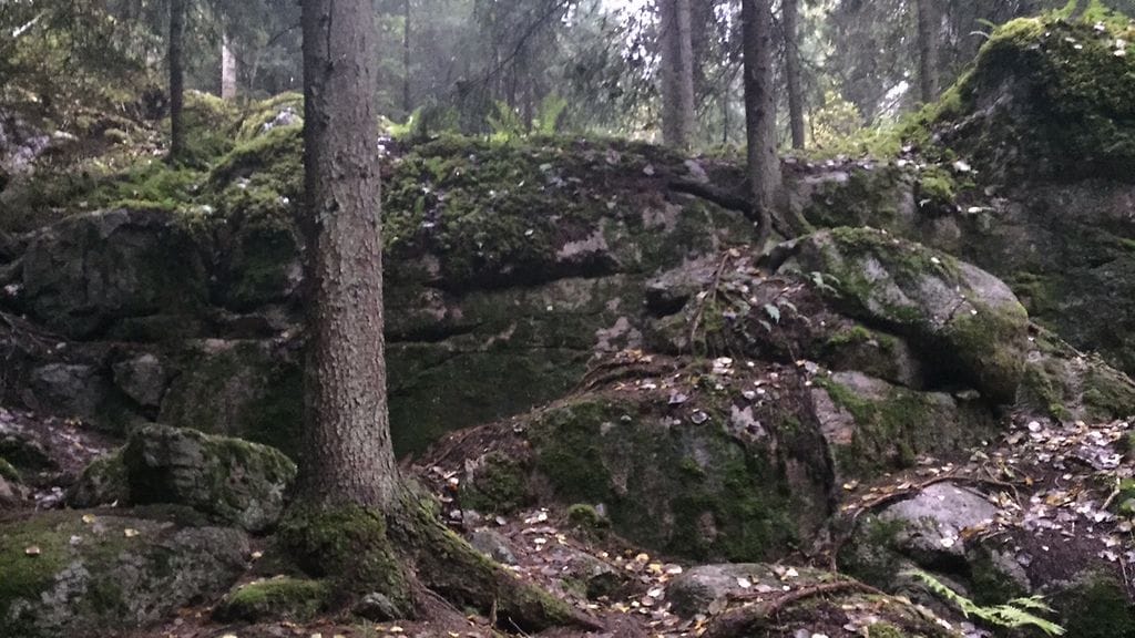 IMG_0672 Yleiskuvia Nuuksiosta