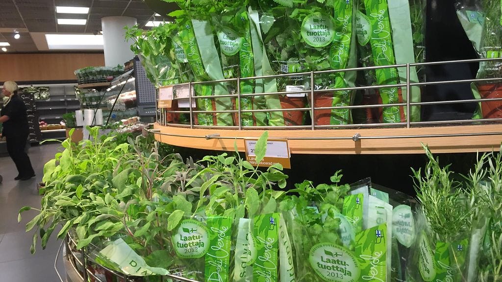 Yrttejä kaupassa. Kuvituskuva.