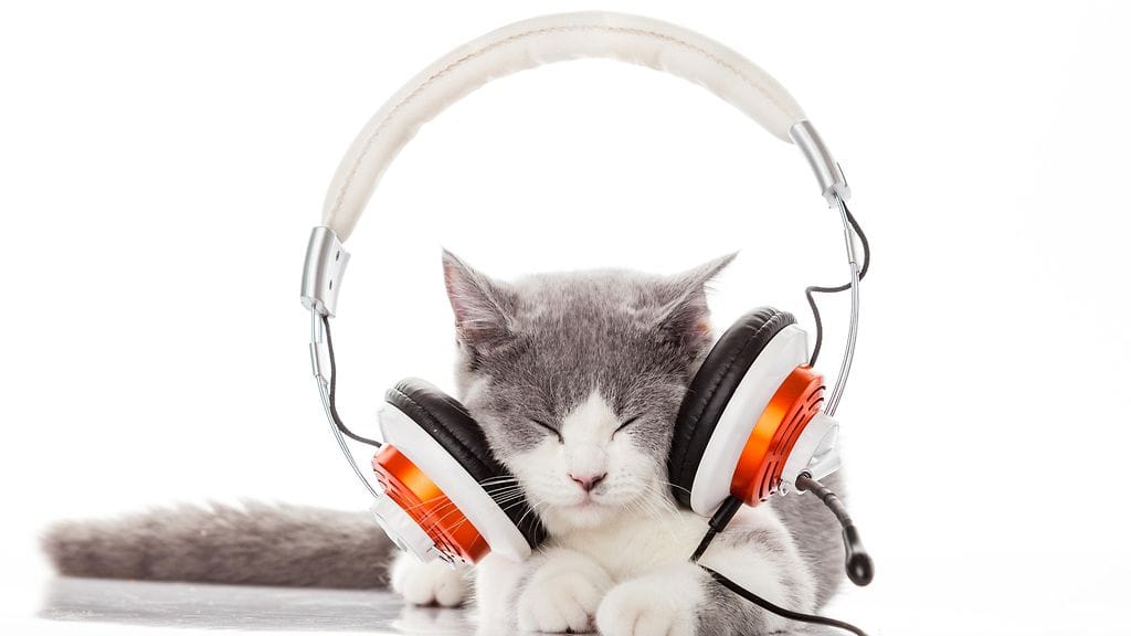 Monet eläimet kuulevat ääniä, joita ihmiset eivät pysty havaitsemaan.