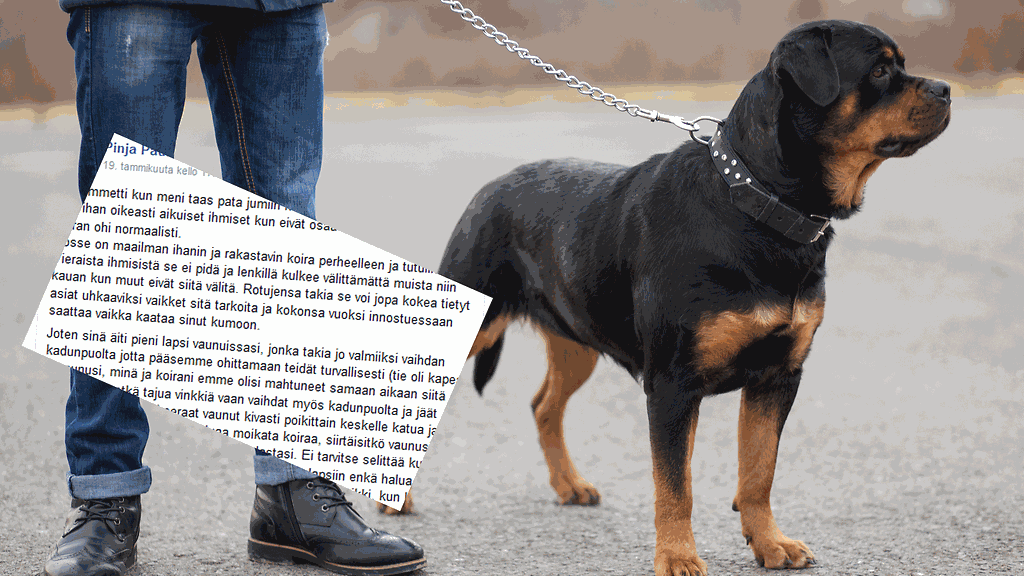 "Siirtäisitkö vaunusi, kun ilmoitan että koirani ei halua moikata lastasi?" Kuvituskuva.