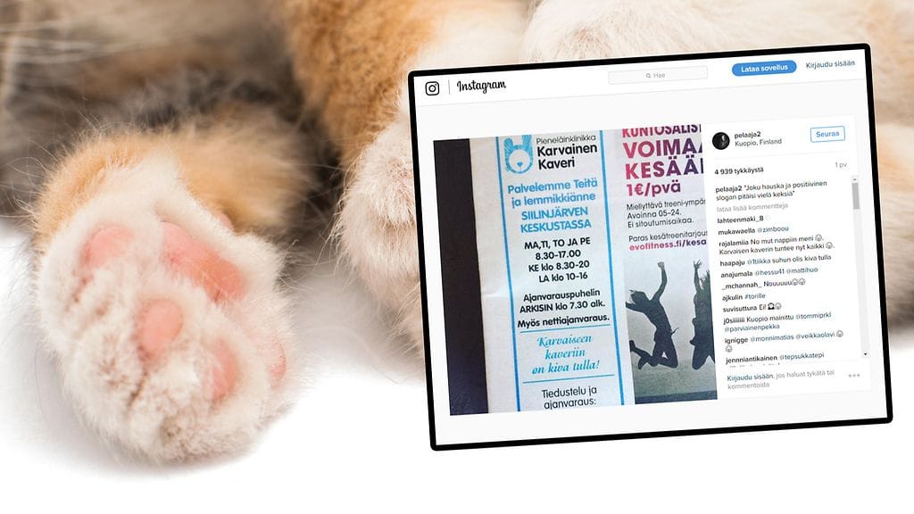 Kuvituskuva ja kuvakaappaus Instagramista