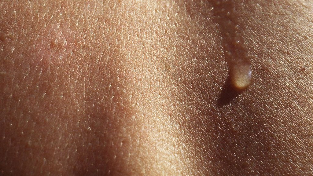 Hikoilu on ollut evoluution kannalta erittäin tärkeässä roolissa.