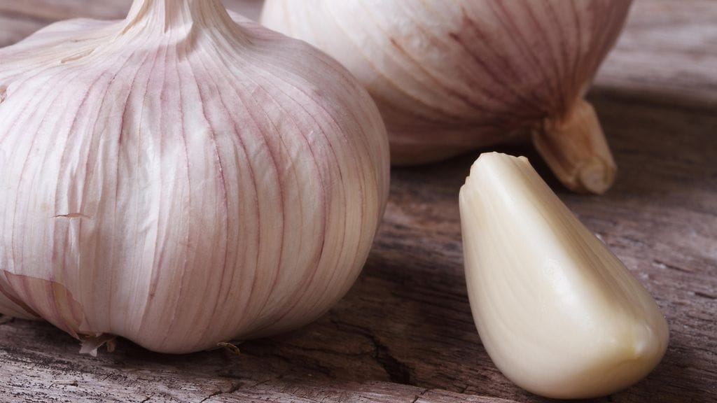 Valkosipulilla on todettu olevan lukuisia terveysvaikutuksia.