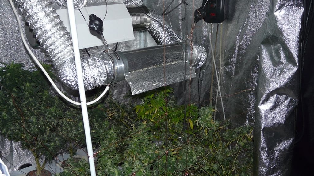 Valvonnan yhteydessä löydettiin muun muassa kannabiksen kasvattamo.