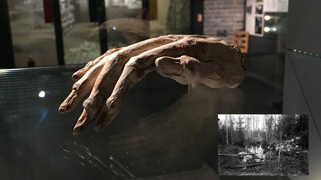 Yksi Tattarisuolta 1930-luvun alussa nostetuista käsistä on esillä yleisöltä suljetussa keskusrikospoliisin rikosmuseossa.