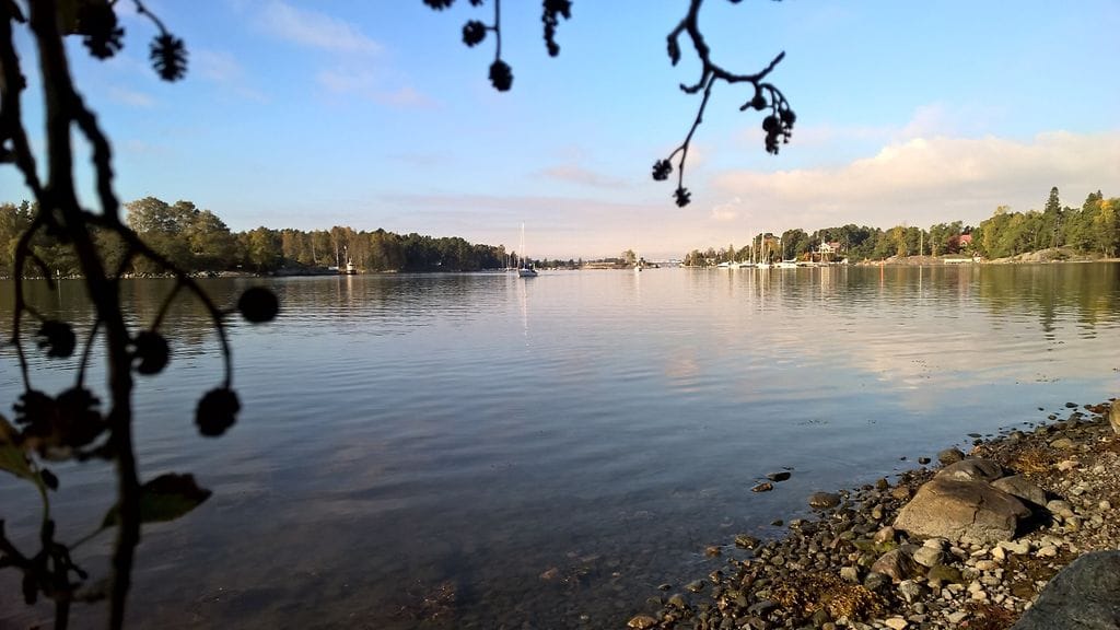 Maankohoamisen tai vesistön vedenpinnan laskemisen takia on saattanut syntyä uutta maata, joka kuuluukin vesialueeseen.