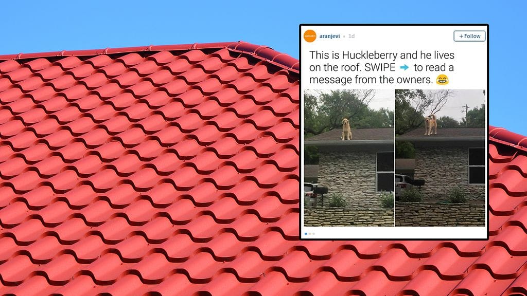 Kuvituskuva Shutterstock, toisen kuvan lähde Instagram.