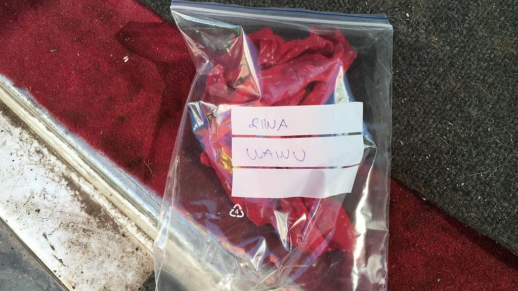 Kadonneen Riinan etsinnät