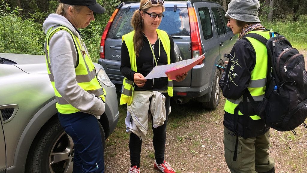 Kadonneen Riinan etsinnät