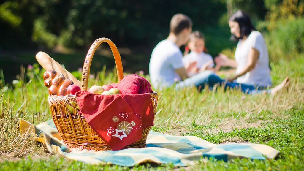 Unkarissa piknik-eväillä on ilmeisesti tapana mennä harakoille.