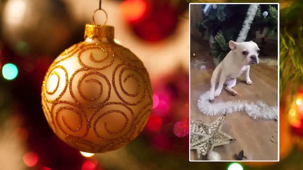 Kuvituskuva Shutterstock, toisen kuvan lähde Facebook.