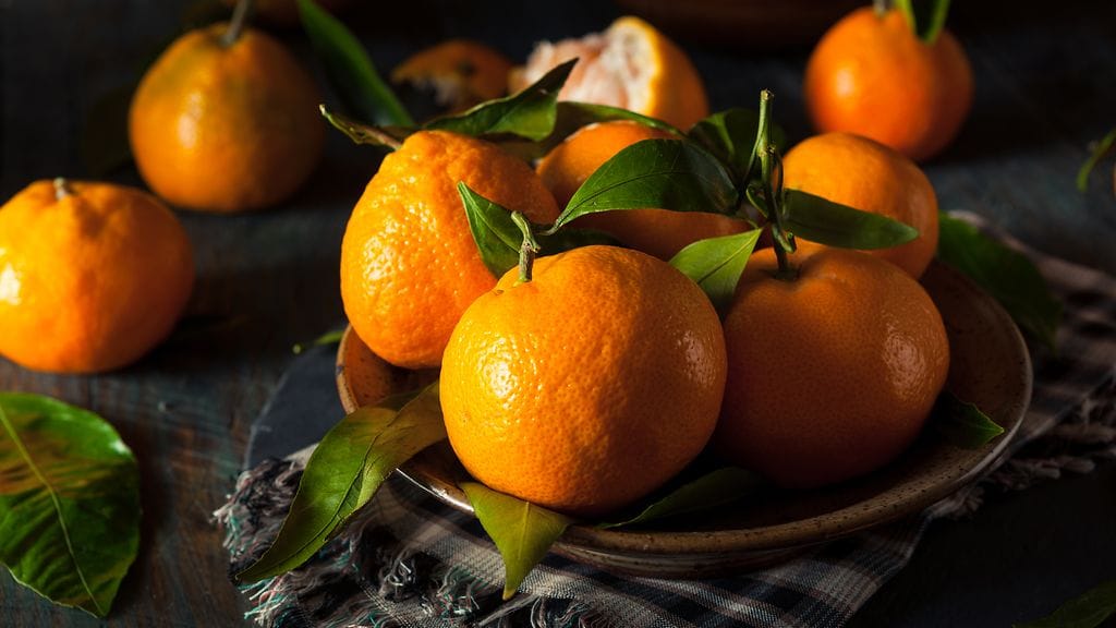 Satsumien sesonki alkaa muita sitrushedelmiä aiemmin.