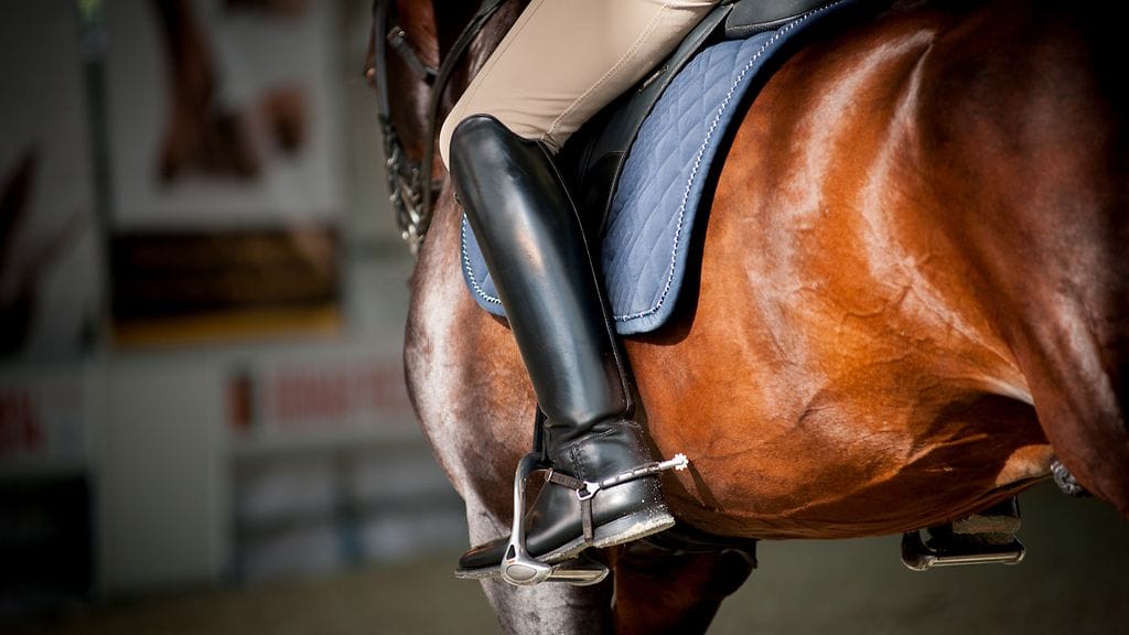 Ratsastaja putosi hevosensa selästä tuntemattomasta syystä. Kuvituskuva.