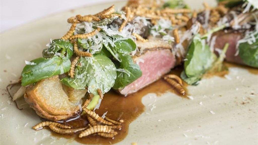 Karitsaa jauhomatojen kera, söisitkö?