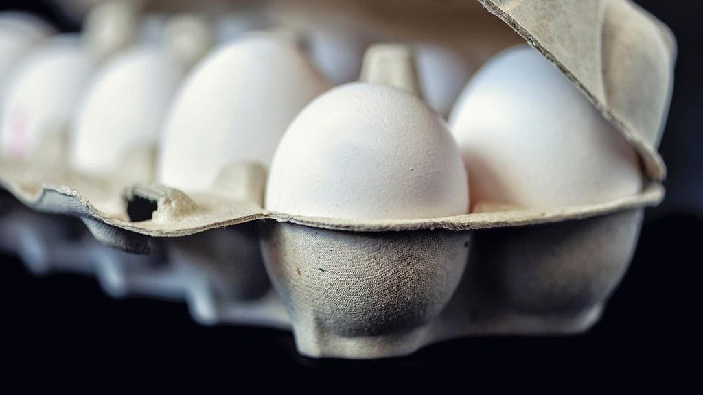 Kananmunien säilyvyys on yleensä paljon pidempi kuin pakkauksessa kerrotaan.