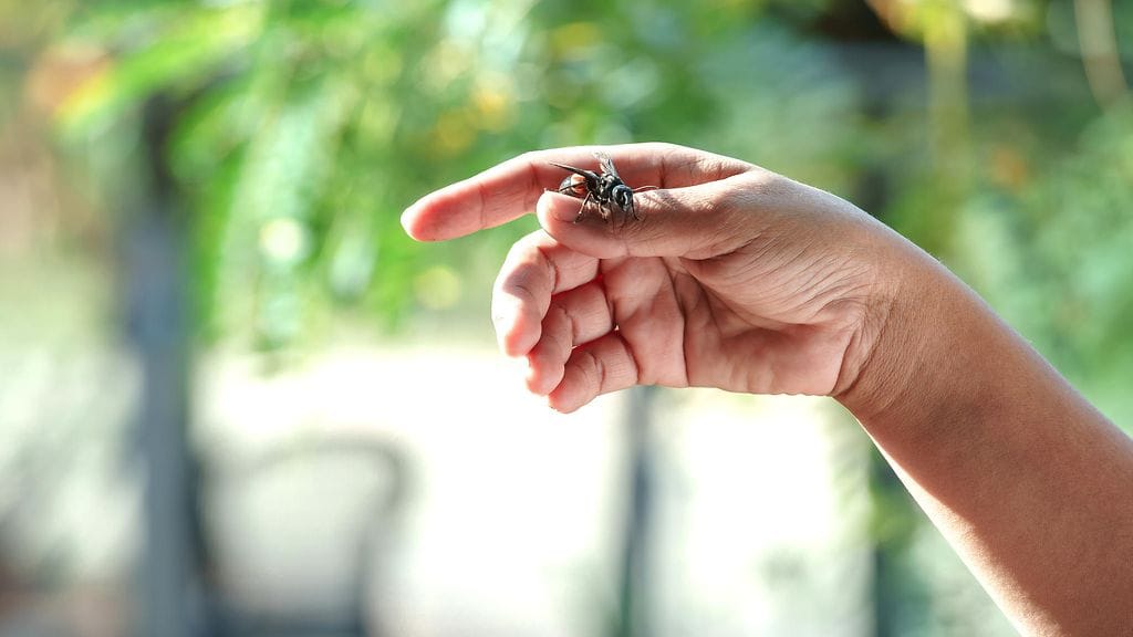 shutterstock_1127893430