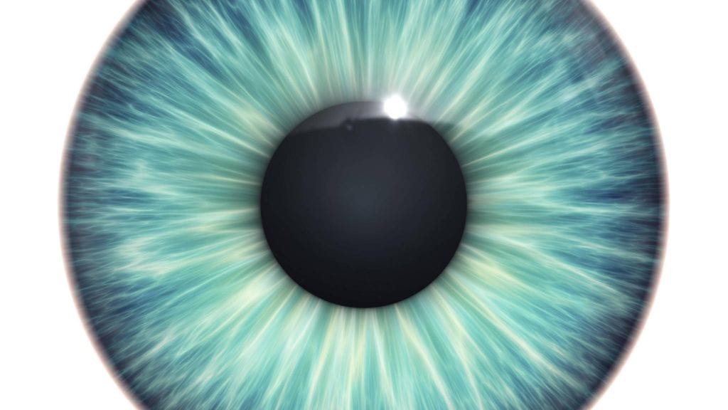 Ihmisen silmä on pitkälle kehittynyt elin, mutta sillä ei ole kykyä tehdä itsestään näkymätöntä, toisin kuin äyriäistoukan silmällä.