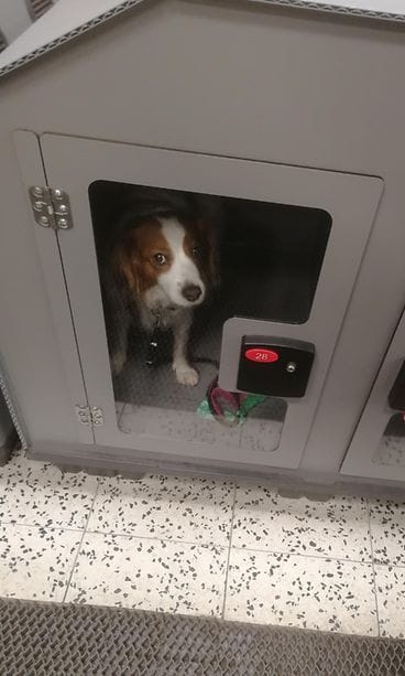 44708900_278518906106866_532695323319992320_n