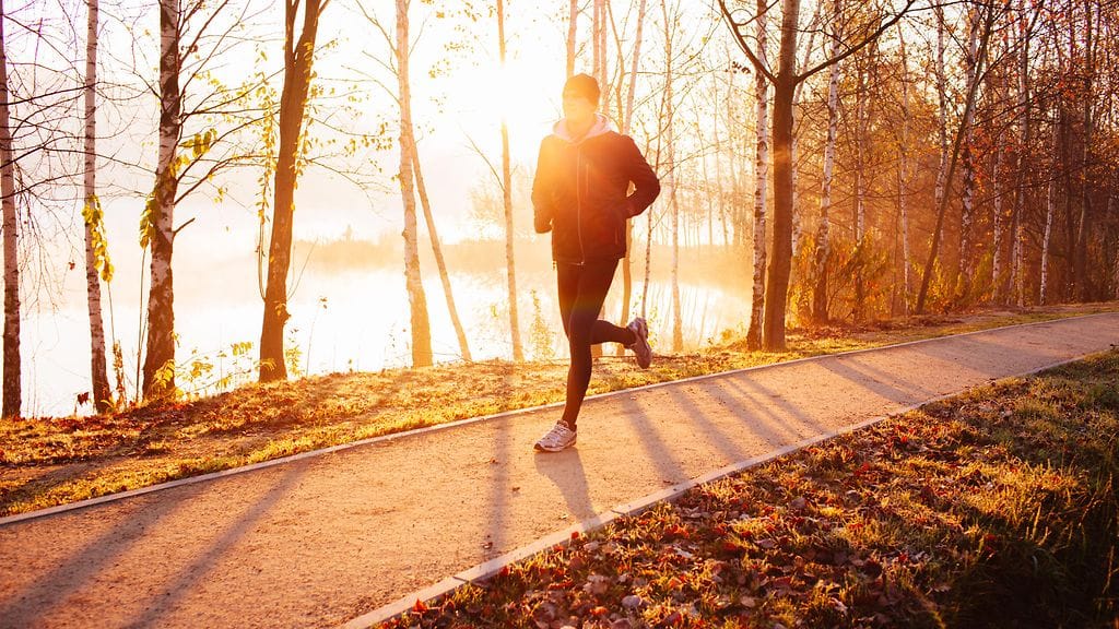 shutterstock_479625946