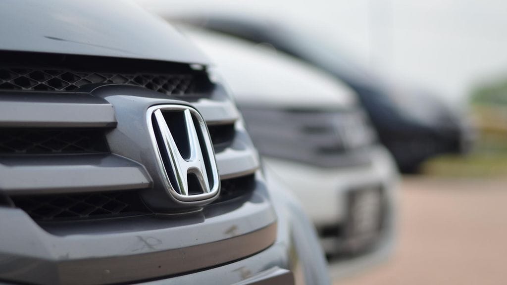 Täysikasvuinen karhu murtautui autoon ja tuhosi sen täysin