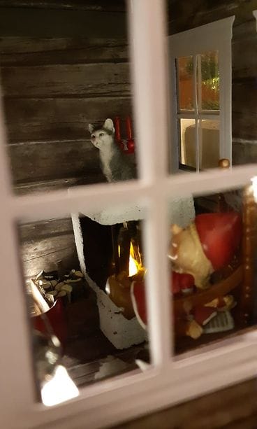 HUOM KUVA VAIN LIFESTYLEN ARTIKKELIIN 98046_2152831394956250_8352267727657762816_n