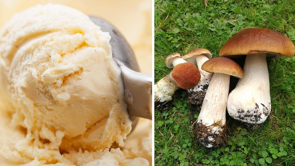 Uutuusjäätelö yhdistää suomalaissienen ja jäätelön.