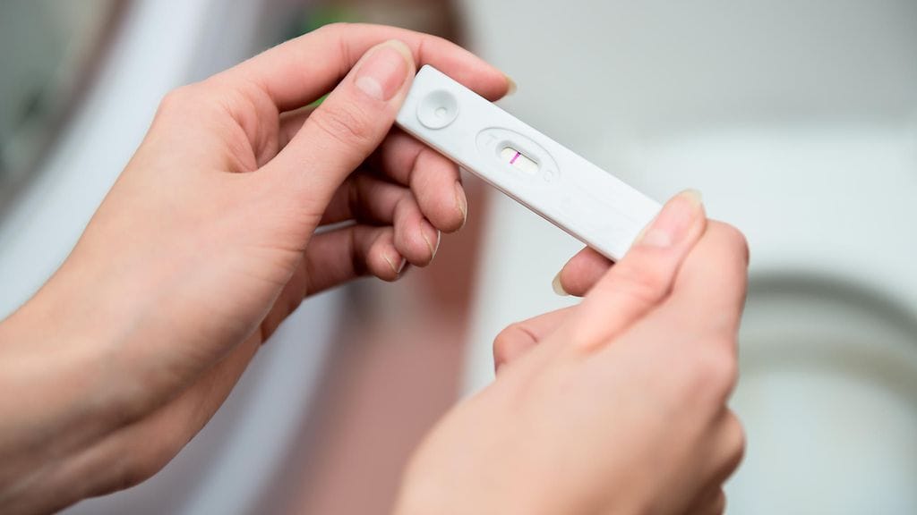 shutterstock_119975638