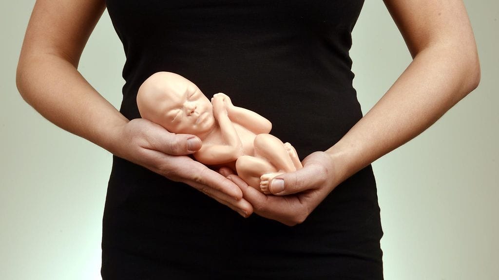 Yksityisillä lääkäriasemilla ennakoiva sukusolujen pakastaminen on lisääntynyt.