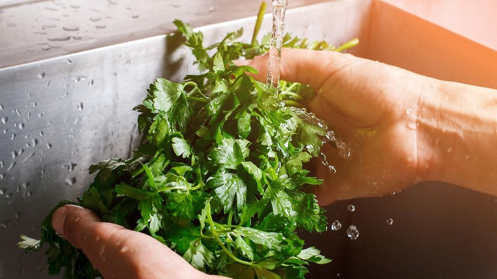 shutterstock_432181426