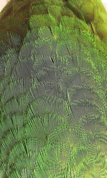 KUVA VAIN LIFESTYLEN JUTTUUN.