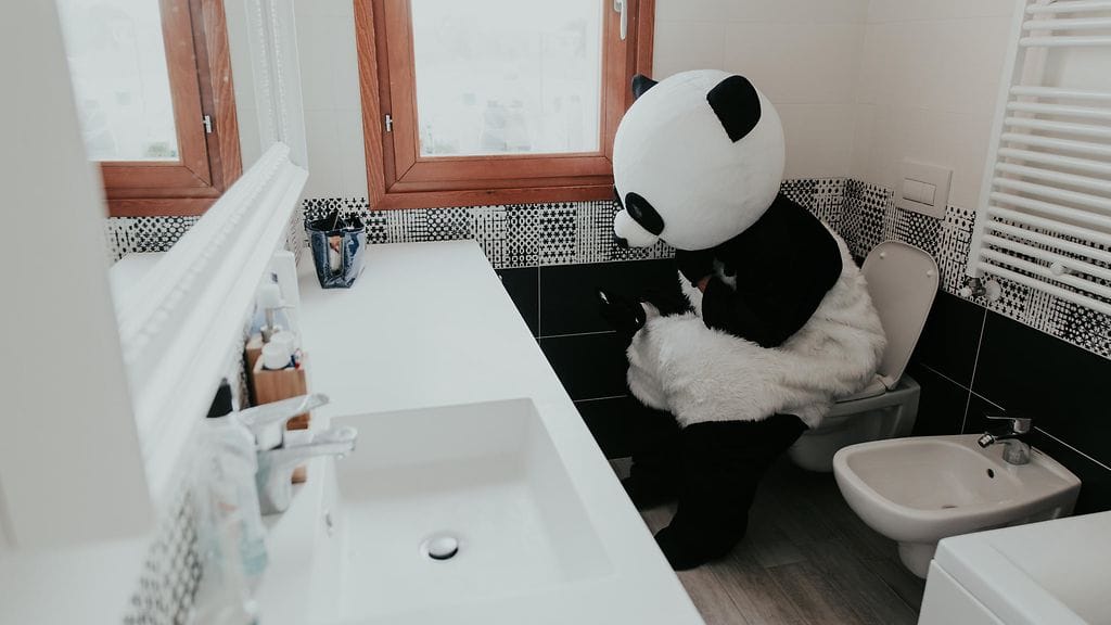 Wisconsinissa asuva mies oli pukeutunut pandapukuun, jolla ajatteli huijata naapureitaan, kertoo Cbs58. Kuvituskuva.