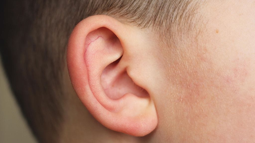 Charles Bentley poistatti korvanlehtiensä keskiosat.