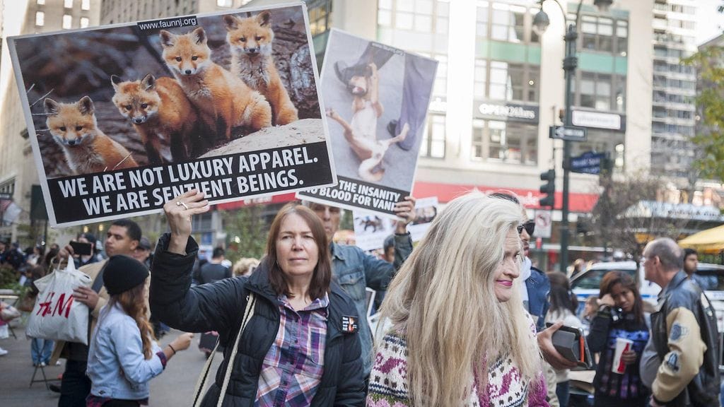 Turkikset ovat jakaneet mielipiteitä erittäin pitkään.