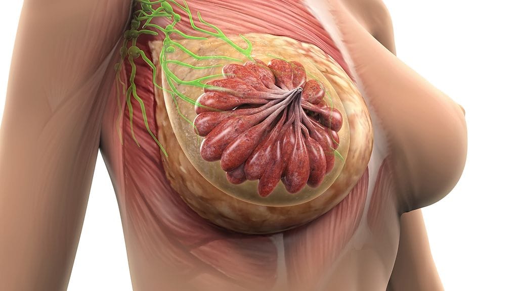 Käyttäjänimeä @lemonadead käyttävä nainen jakoi ihottoman kuvan naisen rinnoista todeten, ettei ole ennen nähnyt sellaista.