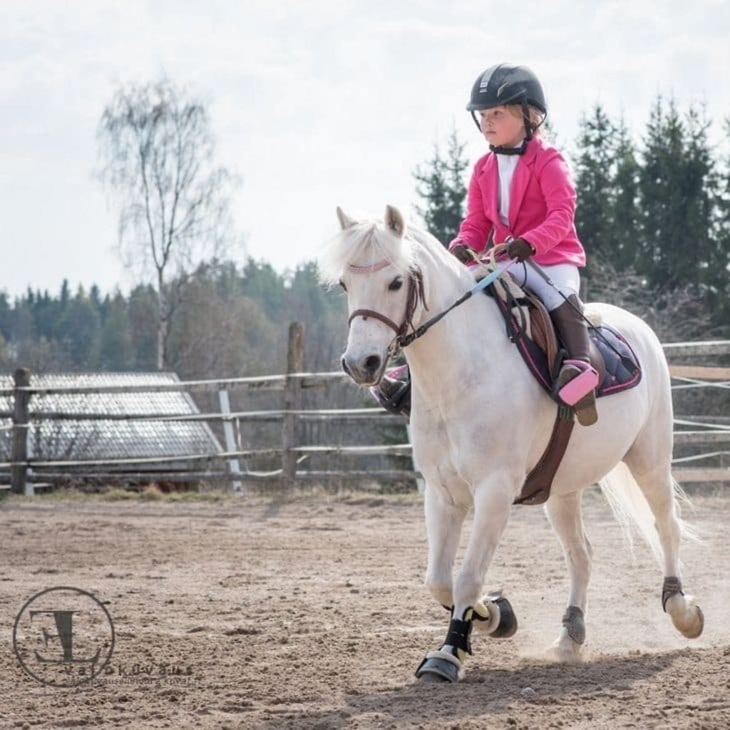 KUVA VAIN LIFESTYLEN ARTIKKELIIN Kuvannut Ellinoora Luokkakallio 1