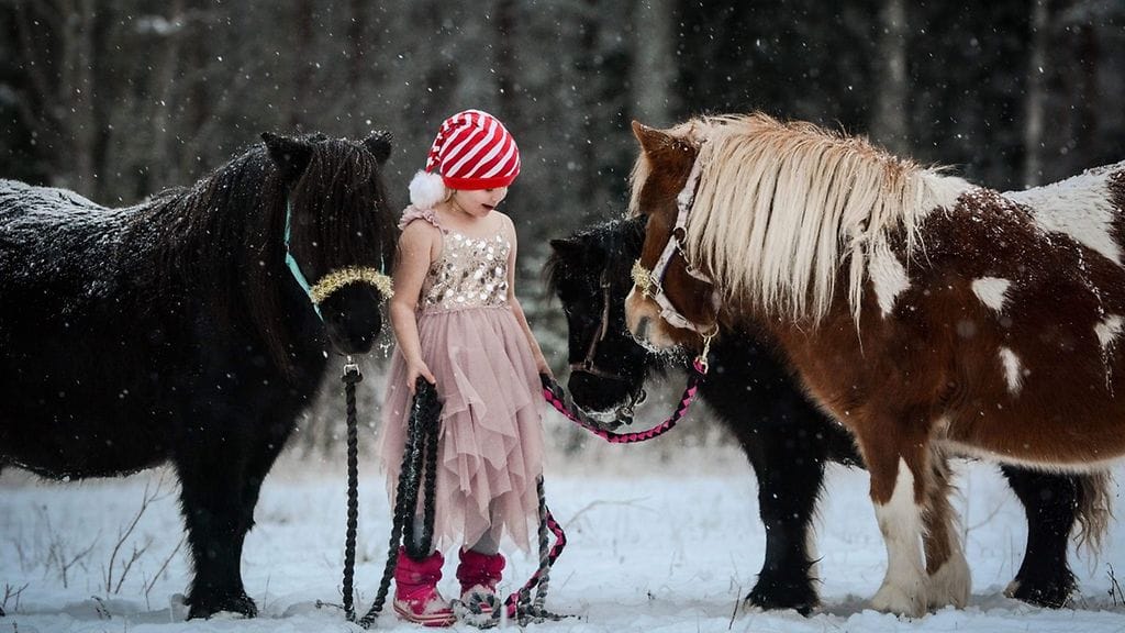 KUVA VAIN LIFESTYLEN ARTIKKELIIN Kuvannut Enni Järvelä