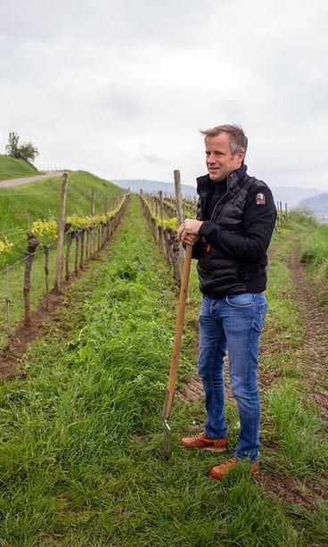 baden_weingut-wohrle-markus