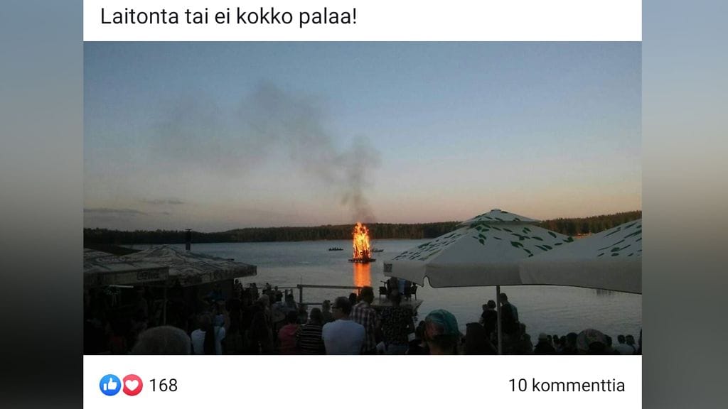 kokko (1)