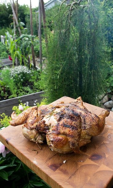 sivumaku-pollo-diavola-pysty