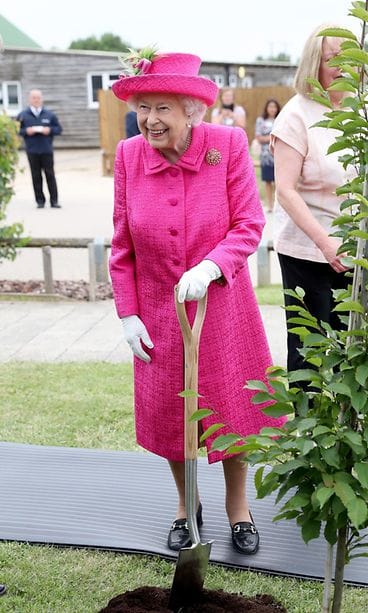 kuningatar Elisabet lapiohommissa