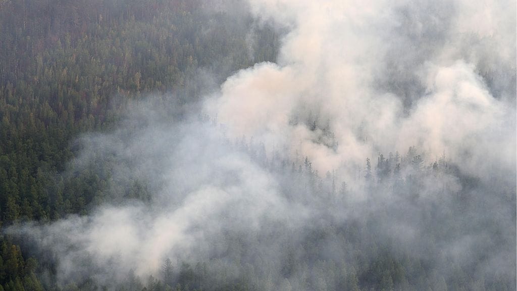 Kuvassa metsää palaa Boguchanyn alueella.