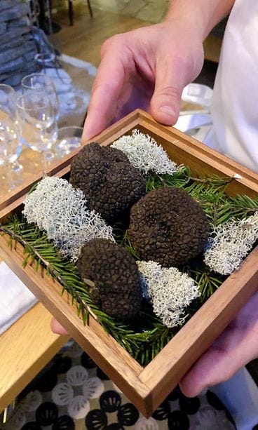 dabbal-wolfberger-tryffeli