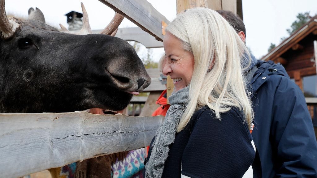 Mette-Marit kohtasi hirven (1)